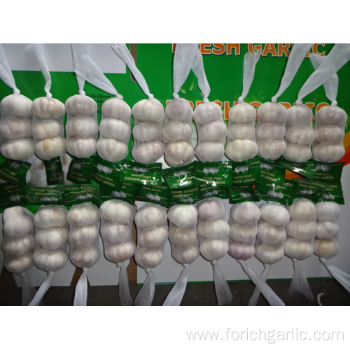 Small Bag Normal White Garlic